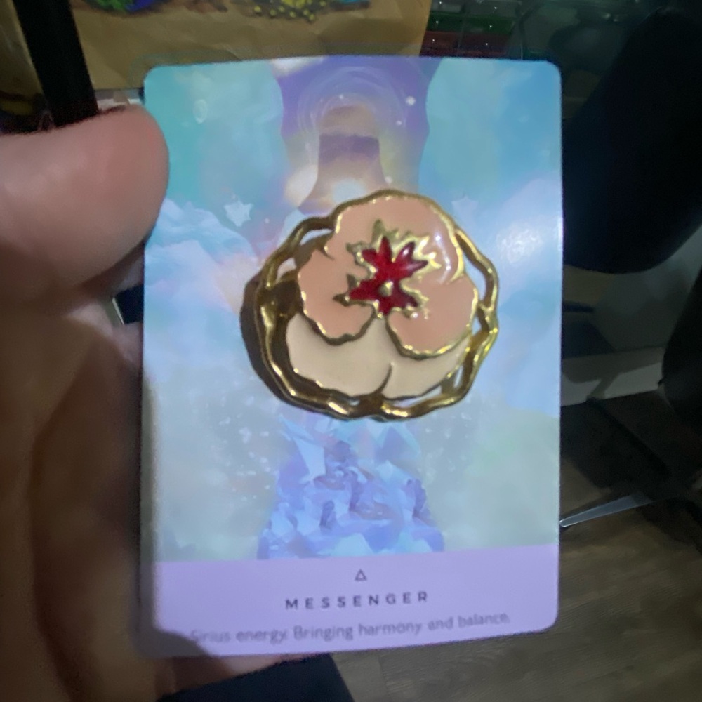 Gold and Red Enamel Pin